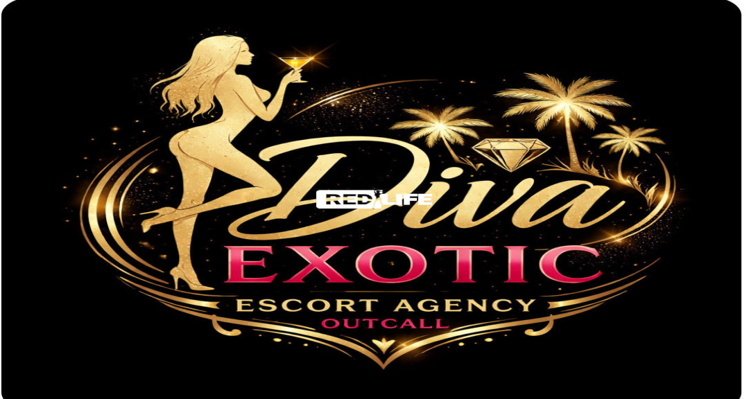 🚨 Busy Escort Agency &ndash;