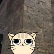 Zavi