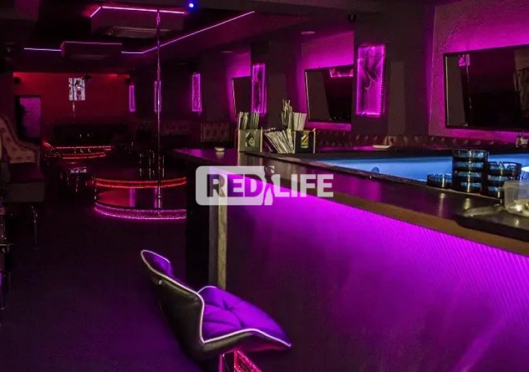 barmanka čašníčka hosteska promotérka tanečnica
